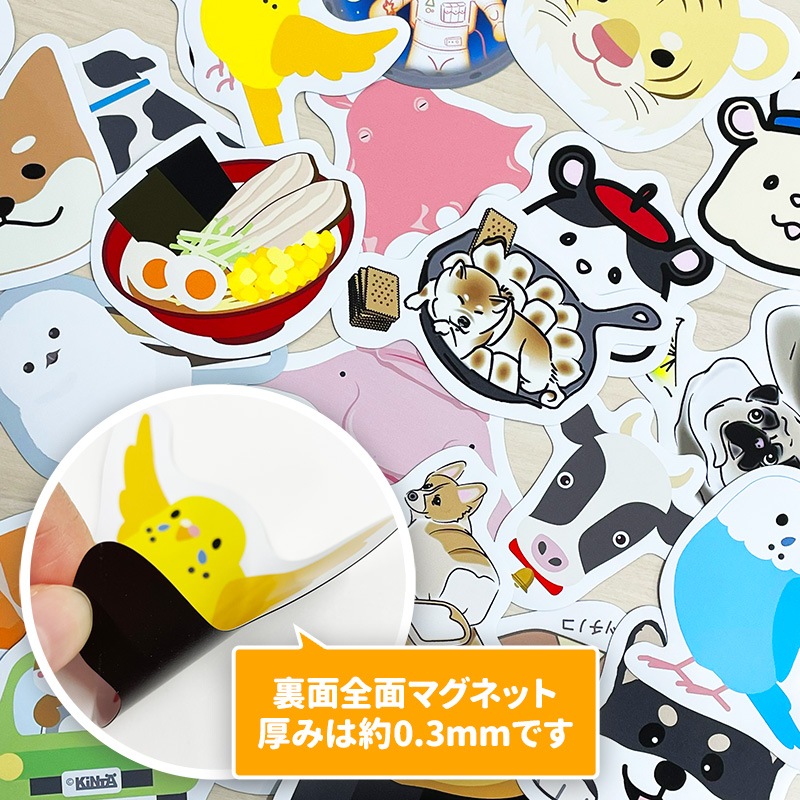 �����������åȥޥ��ͥåȥ��ƥå����ڼ֤˾�ä��Ƹ��ۼ����ѡڤ椦�ѥ��å����������ǽ��