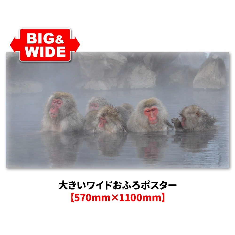 �礭���磻�ɤ���Ϥ�ݥ������ڲ����ˤĤ����ۥޥ��ͥåȥ��������������ظ�������̵����