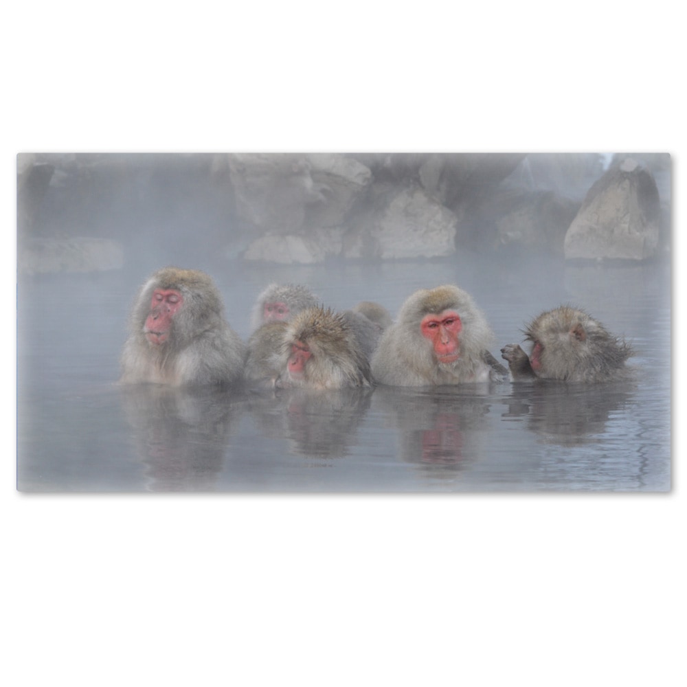 �礭���磻�ɤ���Ϥ�ݥ������ڲ����ˤĤ����ۥޥ��ͥåȥ��������������ظ�������̵����