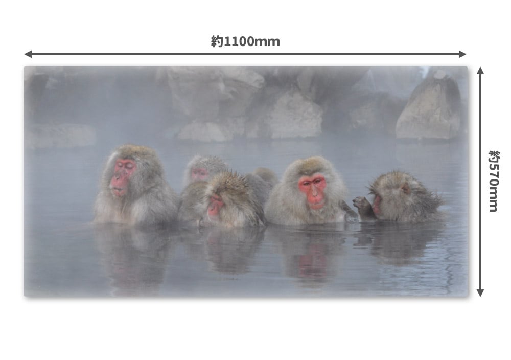 �礭���磻�ɤ���Ϥ�ݥ������ڲ����ˤĤ����ۥޥ��ͥåȥ��������������ظ�������̵����