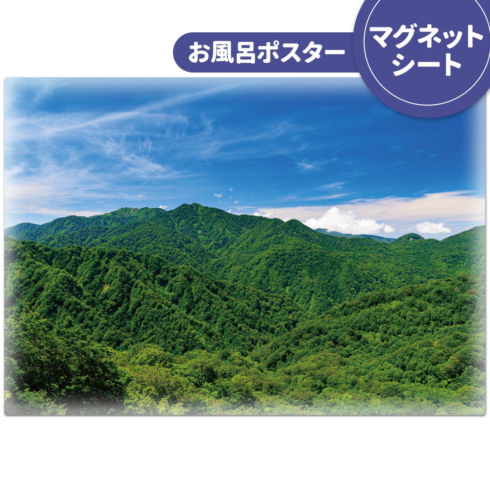 ����Ϥ�ݥ�������������ϡۥޥ��ͥåȥ��������������ظ����