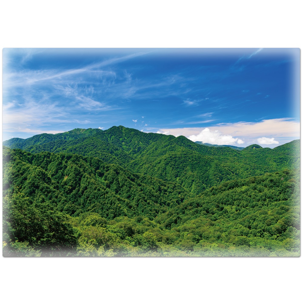 ����Ϥ�ݥ�������������ϡۥޥ��ͥåȥ��������������ظ����