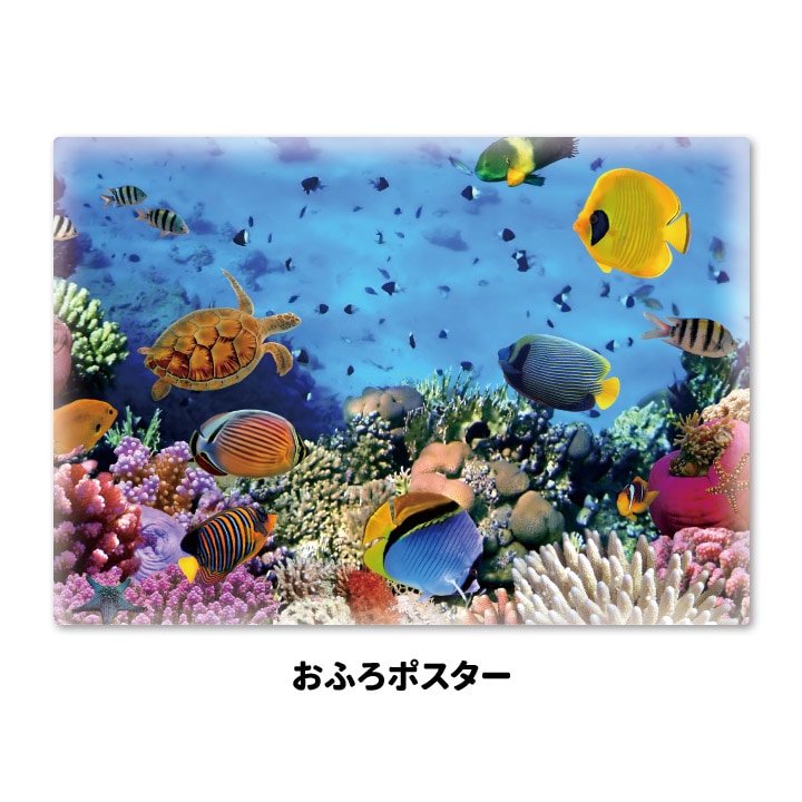 ����Ϥ�ݥ������ڥ������ꥦ��ۥޥ��ͥåȥ��������������ظ����