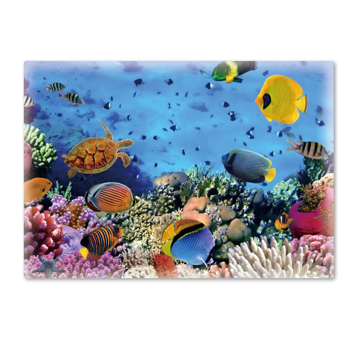 ����Ϥ�ݥ������ڥ������ꥦ��ۥޥ��ͥåȥ��������������ظ����