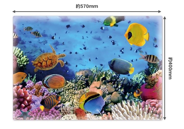 ����Ϥ�ݥ������ڥ������ꥦ��ۥޥ��ͥåȥ��������������ظ����