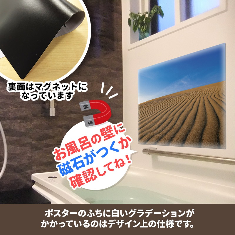 ����Ϥ�ݥ�������Ļ�躽�֡ۥޥ��ͥåȥ��������������ظ����