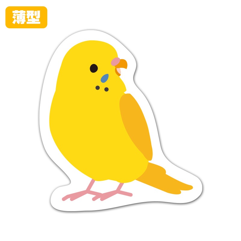 �����������åȥޥ��ͥåȥ��ƥå����ڥ����������� �����ޤ� ���������ۼ����ѡڤ椦�ѥ��å����������ǽ��