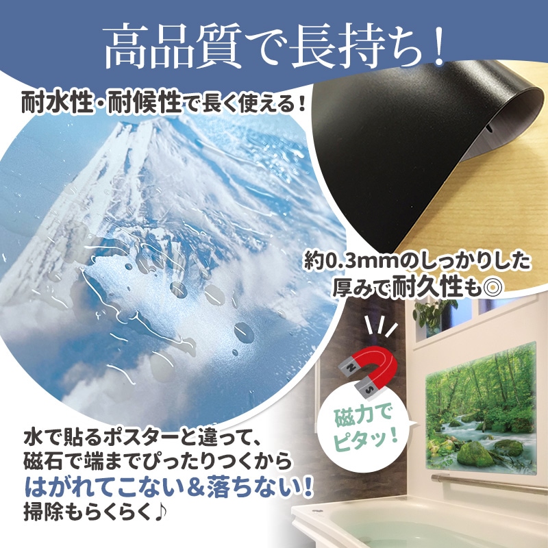 ����Ϥ�ݥ������ھ��ڥ��͡ۥޥ��ͥåȥ��������������ظ����