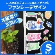 �����Τܤ�ǥ��ޥ��ڥե��󥷡�S���åȡ۸��إɥ�����¢���ѡ������ظ����