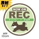 ȿ�ͥޥ��ͥåȥ��ƥå��� �ɥ饤�֥쥳������Ͽ���� �Ϥ������ �Ƹ� �п���NOW ON REC�۴ݷ�15cm �֥ޥ��ͥåȥ��ƥå����ڤ椦�ѥ��å����������ǽ��