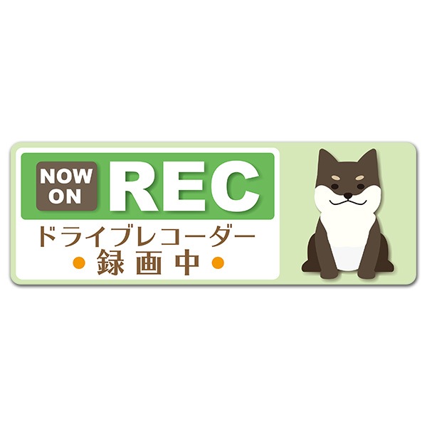 ȿ�ͥޥ��ͥåȥ��ƥå��� �ɥ饤�֥쥳������Ͽ���� ���������� �Ƹ� �п���NOW ON REC�ۥ���෿ �֥ޥ��ͥåȥ��ƥå����ڤ椦�ѥ��å����������ǽ��
