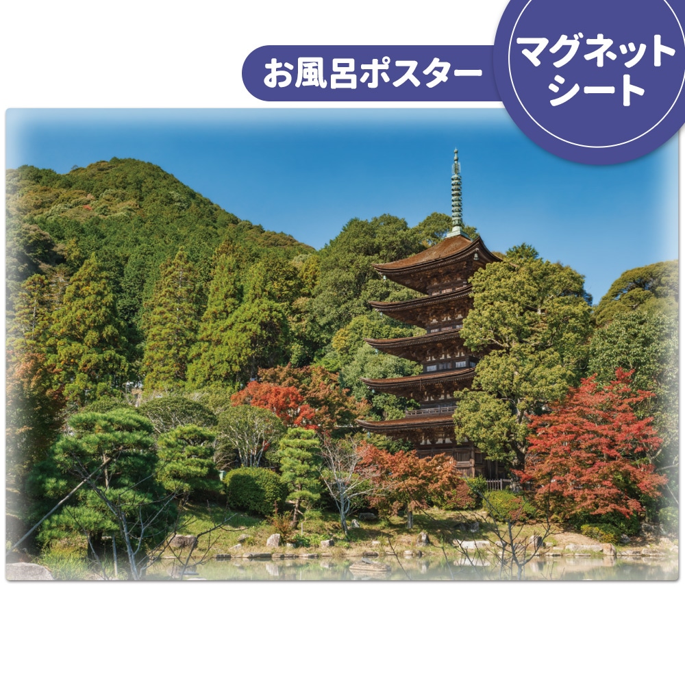 ����Ϥ�ݥ����������������޽���ۥޥ��ͥåȥ��������������ظ����