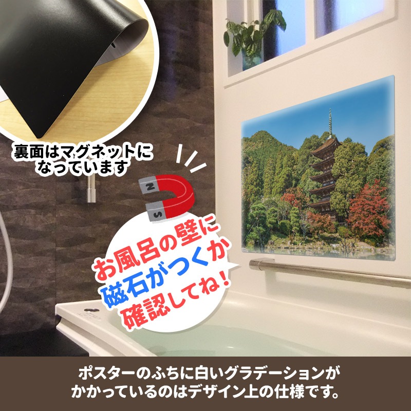 ����Ϥ�ݥ����������������޽���ۥޥ��ͥåȥ��������������ظ����