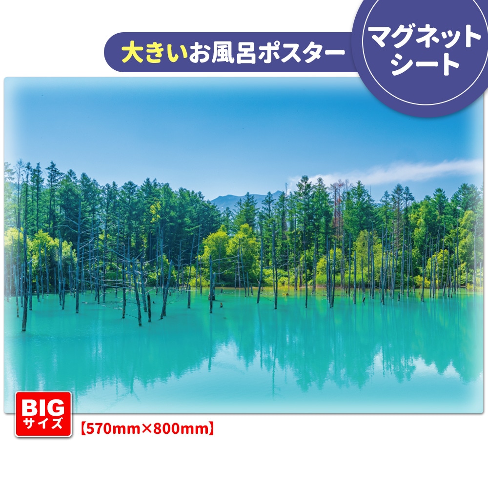 �礭������Ϥ�ݥ����������ͤ��Ĥ��ӡۥޥ��ͥåȥ��������������ظ�������̵����