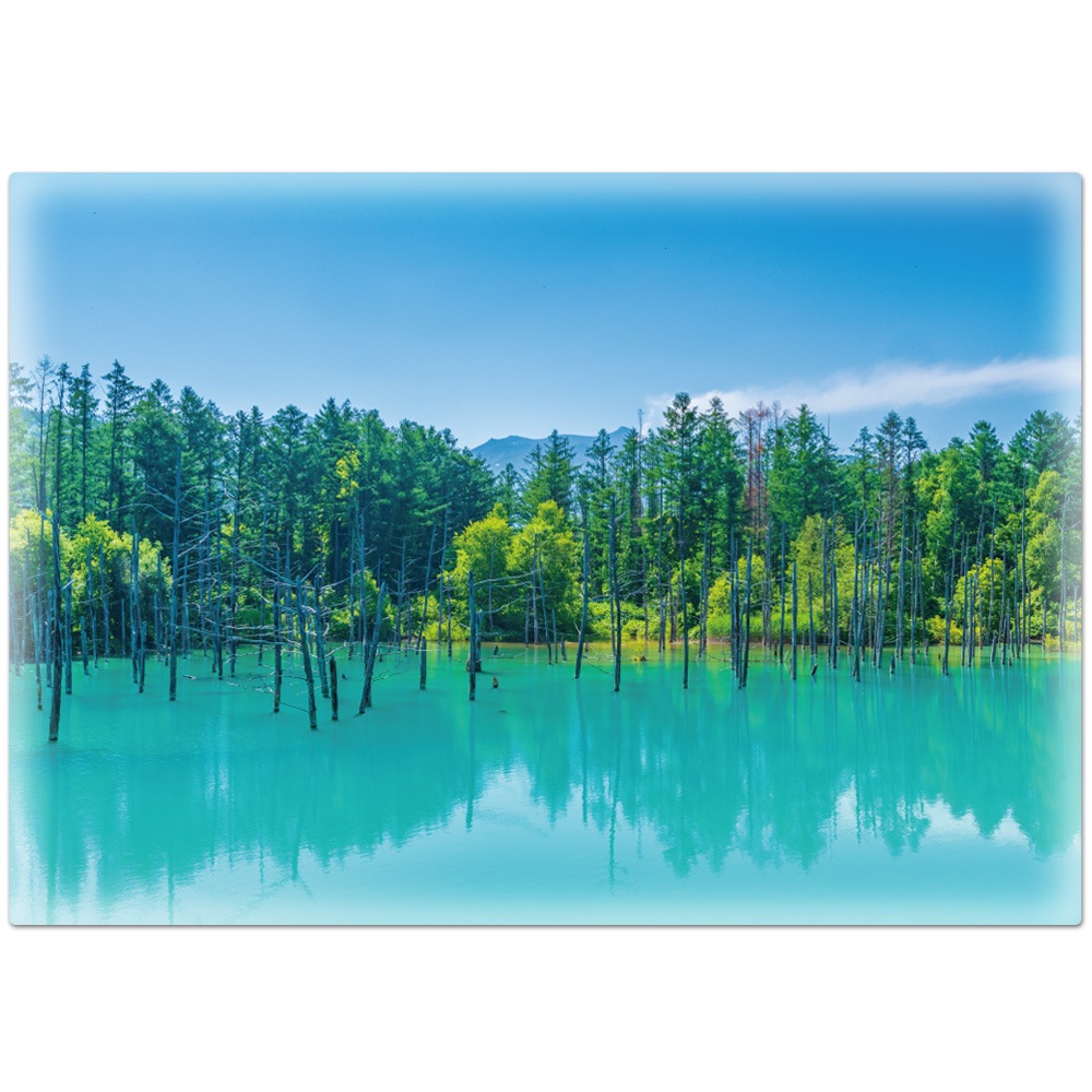 �礭������Ϥ�ݥ����������ͤ��Ĥ��ӡۥޥ��ͥåȥ��������������ظ�������̵����