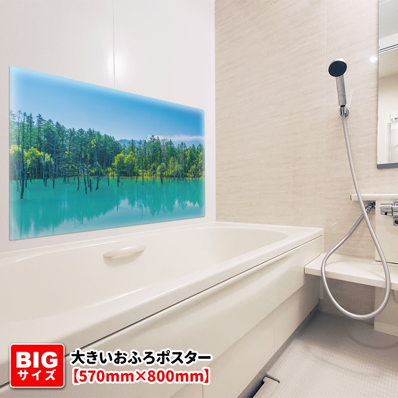 �礭������Ϥ�ݥ����������ͤ��Ĥ��ӡۥޥ��ͥåȥ��������������ظ�������̵����