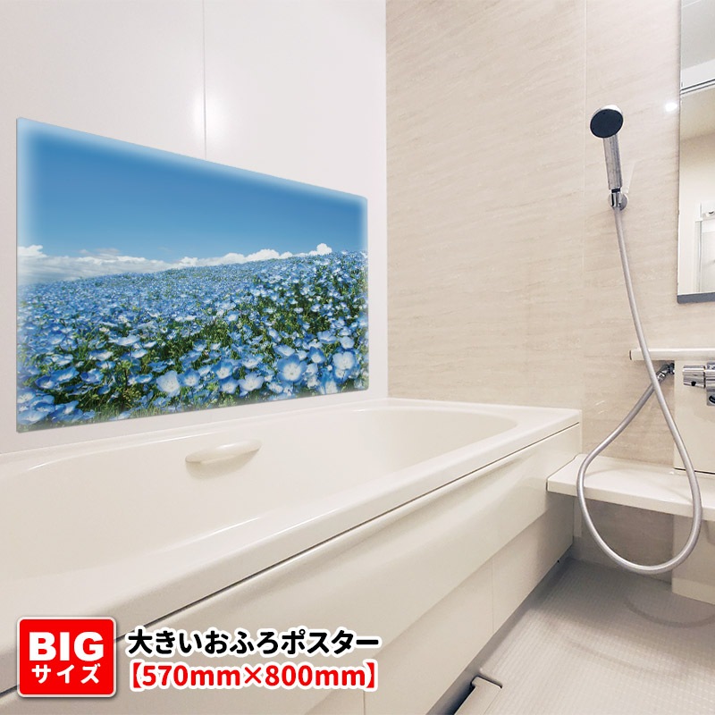 礭ϤݥڤҤ͸ۥޥͥåȥظ̵