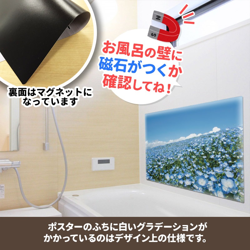 礭ϤݥڤҤ͸ۥޥͥåȥظ̵
