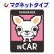 ����� ���󥰥����� ���٤��ӿ���3���CHIHUAHUA IN CAR�ۼ֥ޥ��ͥåȥ��ƥå����ڤ椦�ѥ��å����������ǽ��