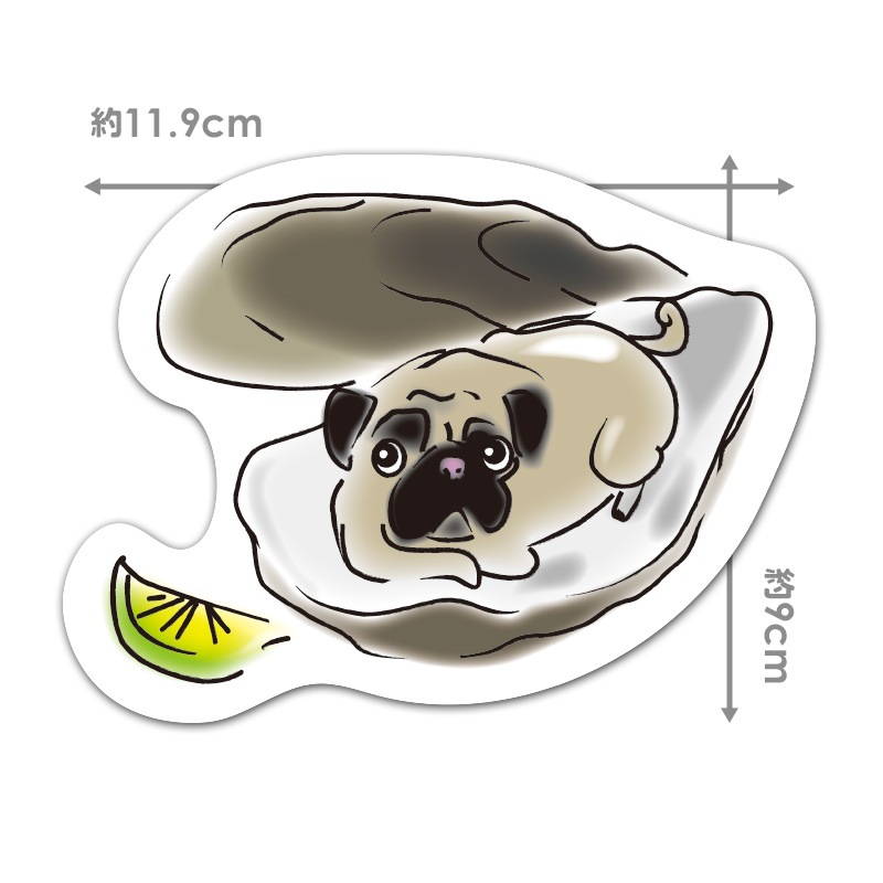 �����������åȥޥ��ͥåȥ��ƥå�����Oyster Pug�ۼ����ѡڤ椦�ѥ��å����������ǽ��