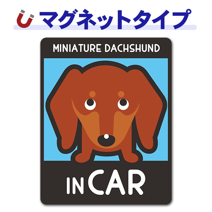 �ߥ˥��奢���å����ե�� ���ࡼ�� ���٤��ӿ���3���MINIATURE DACHSHUND IN CAR�ۼ֥ޥ��ͥåȥ��ƥå����ڤ椦�ѥ��å����������ǽ��