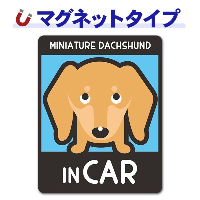 �ߥ˥��奢���å����ե�� ���ࡼ�� ���٤��ӿ���3���MINIATURE DACHSHUND IN CAR�ۼ֥ޥ��ͥåȥ��ƥå����ڤ椦�ѥ��å����������ǽ��