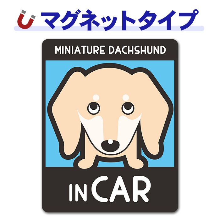 �ߥ˥��奢���å����ե�� ���ࡼ�� ���٤��ӿ���3���MINIATURE DACHSHUND IN CAR�ۼ֥ޥ��ͥåȥ��ƥå����ڤ椦�ѥ��å����������ǽ��