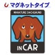 �ߥ˥��奢���å����ե�� ���ࡼ�� ���٤��ӿ���3���MINIATURE DACHSHUND IN CAR�ۼ֥ޥ��ͥåȥ��ƥå����ڤ椦�ѥ��å����������ǽ��