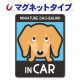 �ߥ˥��奢���å����ե�� ���ࡼ�� ���٤��ӿ���3���MINIATURE DACHSHUND IN CAR�ۼ֥ޥ��ͥåȥ��ƥå����ڤ椦�ѥ��å����������ǽ��