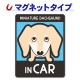 �ߥ˥��奢���å����ե�� ���ࡼ�� ���٤��ӿ���3���MINIATURE DACHSHUND IN CAR�ۼ֥ޥ��ͥåȥ��ƥå����ڤ椦�ѥ��å����������ǽ��