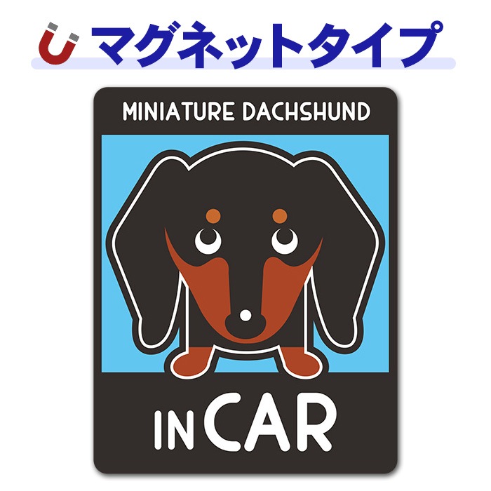 �ߥ˥��奢���å����ե�� ���ࡼ�� ���󥫥顼 ���٤��ӿ���3���MINIATURE DACHSHUND IN CAR�ۼ֥ޥ��ͥåȥ��ƥå����ڤ椦�ѥ��å����������ǽ��