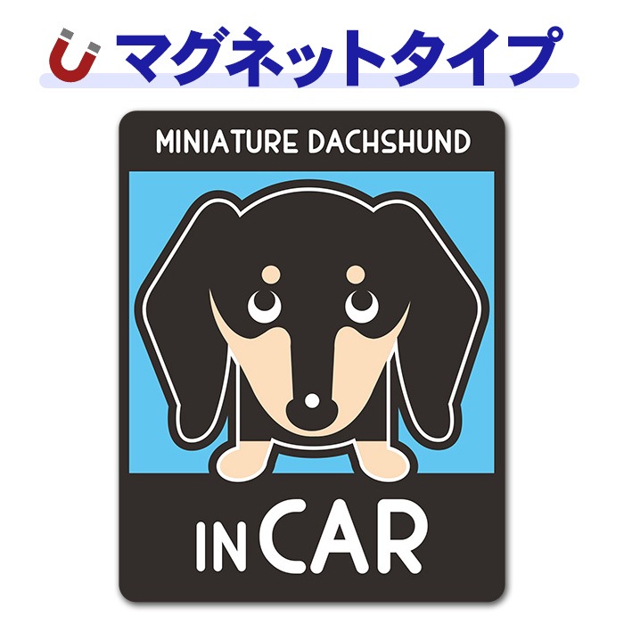 �ߥ˥��奢���å����ե�� ���ࡼ�� ���󥫥顼 ���٤��ӿ���3���MINIATURE DACHSHUND IN CAR�ۼ֥ޥ��ͥåȥ��ƥå����ڤ椦�ѥ��å����������ǽ��