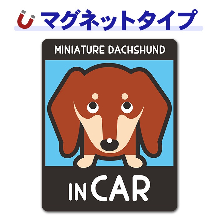 �ߥ˥��奢���å����ե�� ���ࡼ�� ���󥫥顼 ���٤��ӿ���3���MINIATURE DACHSHUND IN CAR�ۼ֥ޥ��ͥåȥ��ƥå����ڤ椦�ѥ��å����������ǽ��