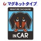 �ߥ˥��奢���å����ե�� ���ࡼ�� ���󥫥顼 ���٤��ӿ���3���MINIATURE DACHSHUND IN CAR�ۼ֥ޥ��ͥåȥ��ƥå����ڤ椦�ѥ��å����������ǽ��