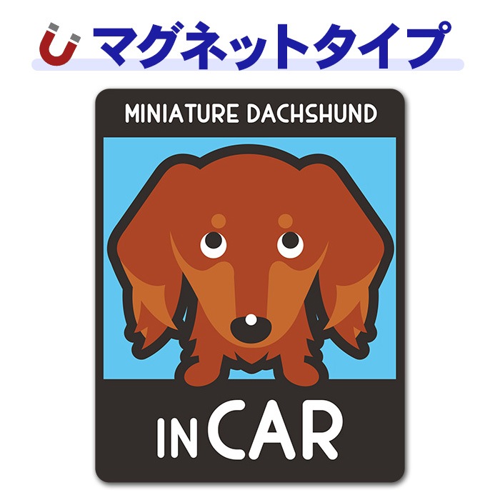 �ߥ˥��奢���å����ե�� ���� ���٤��ӿ���3���MINIATURE DACHSHUND IN CAR�ۼ֥ޥ��ͥåȥ��ƥå����ڤ椦�ѥ��å����������ǽ��