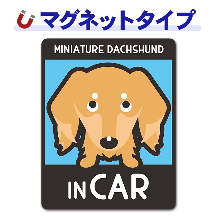 �ߥ˥��奢���å����ե�� ���� ���٤��ӿ���3���MINIATURE DACHSHUND IN CAR�ۼ֥ޥ��ͥåȥ��ƥå����ڤ椦�ѥ��å����������ǽ��
