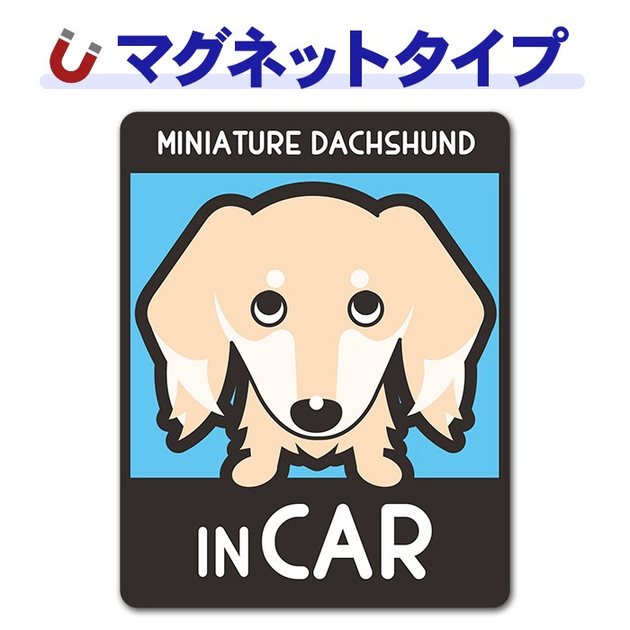 �ߥ˥��奢���å����ե�� ���� ���٤��ӿ���3���MINIATURE DACHSHUND IN CAR�ۼ֥ޥ��ͥåȥ��ƥå����ڤ椦�ѥ��å����������ǽ��