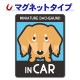�ߥ˥��奢���å����ե�� ���� ���٤��ӿ���3���MINIATURE DACHSHUND IN CAR�ۼ֥ޥ��ͥåȥ��ƥå����ڤ椦�ѥ��å����������ǽ��