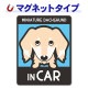 �ߥ˥��奢���å����ե�� ���� ���٤��ӿ���3���MINIATURE DACHSHUND IN CAR�ۼ֥ޥ��ͥåȥ��ƥå����ڤ椦�ѥ��å����������ǽ��