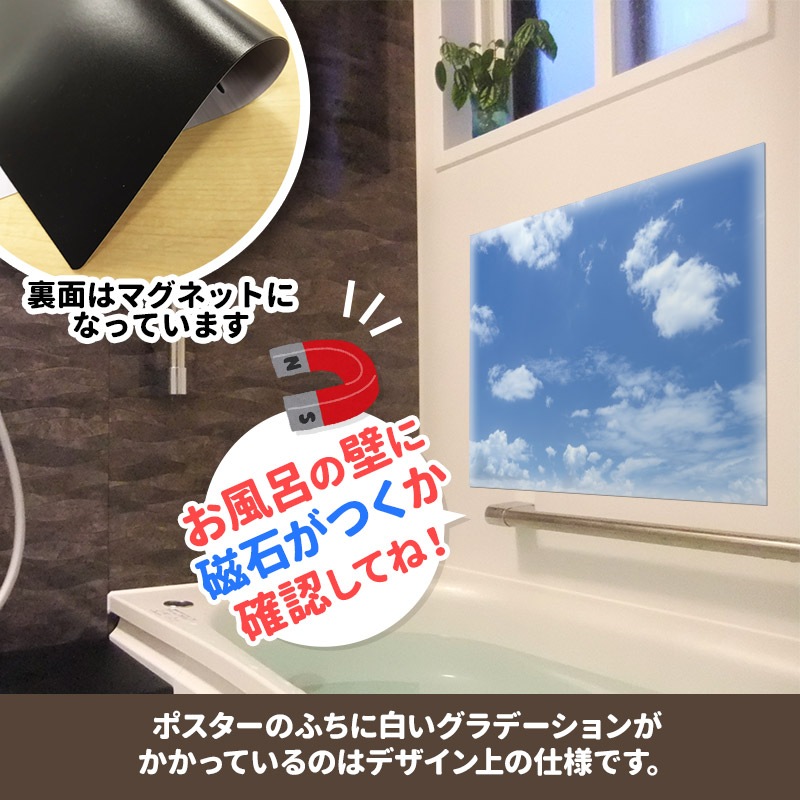 ����Ϥ�ݥ��������Ķ��ۥޥ��ͥåȥ��������������ظ����