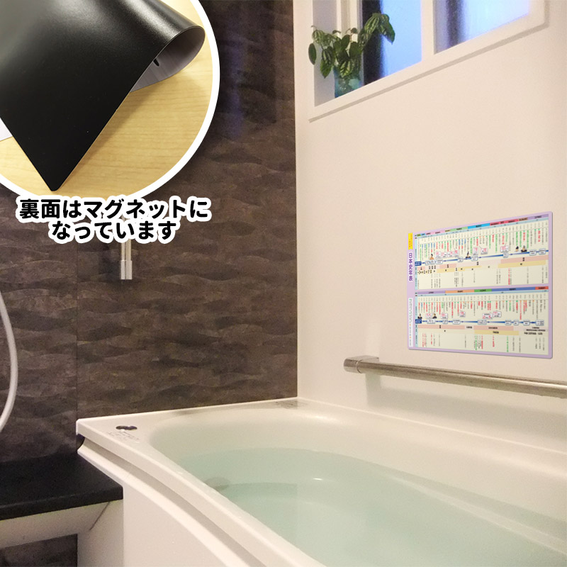 ��ؼ�������Ϥ�ݥ����������ܻ�ǯɽ�ۣͣС߲�ʸ�� �ޥ��ͥåȥ������� ���դ��ݥ�����B4������ �ΰ�ޥ��ͥåȡ������ظ����