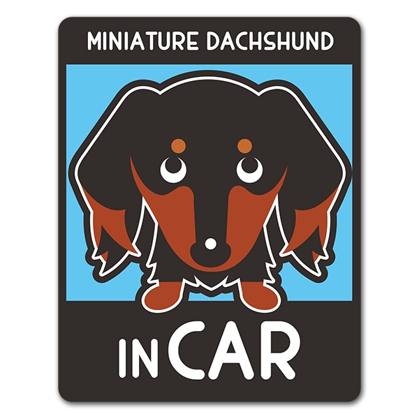 �ߥ˥��奢���å����ե�� ���� ���󥫥顼 ���٤��ӿ���3���MINIATURE DACHSHUND IN CAR�ۼ֥ޥ��ͥåȥ��ƥå����ڤ椦�ѥ��å����������ǽ��