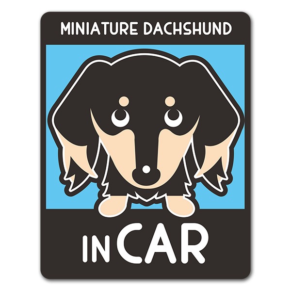 �ߥ˥��奢���å����ե�� ���� ���󥫥顼 ���٤��ӿ���3���MINIATURE DACHSHUND IN CAR�ۼ֥ޥ��ͥåȥ��ƥå����ڤ椦�ѥ��å����������ǽ��