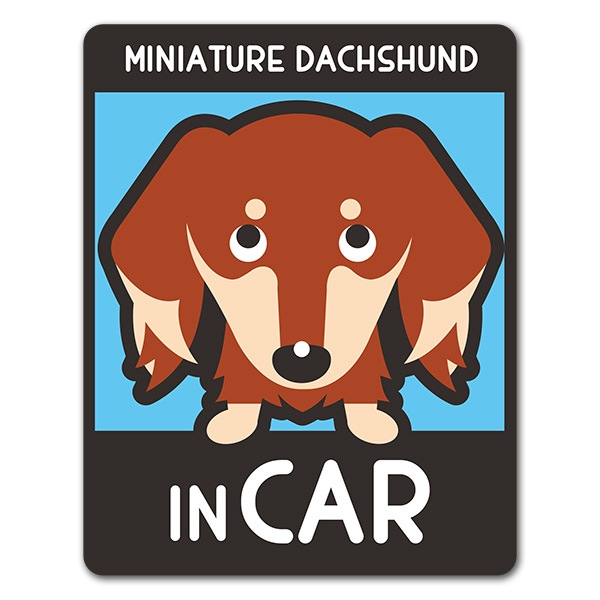 �ߥ˥��奢���å����ե�� ���� ���󥫥顼 ���٤��ӿ���3���MINIATURE DACHSHUND IN CAR�ۼ֥ޥ��ͥåȥ��ƥå����ڤ椦�ѥ��å����������ǽ��