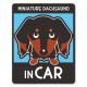 �ߥ˥��奢���å����ե�� ���� ���󥫥顼 ���٤��ӿ���3���MINIATURE DACHSHUND IN CAR�ۼ֥ޥ��ͥåȥ��ƥå����ڤ椦�ѥ��å����������ǽ��