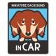 �ߥ˥��奢���å����ե�� ���� ���󥫥顼 ���٤��ӿ���3���MINIATURE DACHSHUND IN CAR�ۼ֥ޥ��ͥåȥ��ƥå����ڤ椦�ѥ��å����������ǽ��