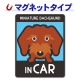�ߥ˥��奢���å����ե�� �磻�䡼 ���٤��ӿ���3���MINIATURE DACHSHUND IN CAR�ۼ֥ޥ��ͥåȥ��ƥå����ڤ椦�ѥ��å����������ǽ��