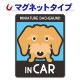 �ߥ˥��奢���å����ե�� �磻�䡼 ���٤��ӿ���3���MINIATURE DACHSHUND IN CAR�ۼ֥ޥ��ͥåȥ��ƥå����ڤ椦�ѥ��å����������ǽ��