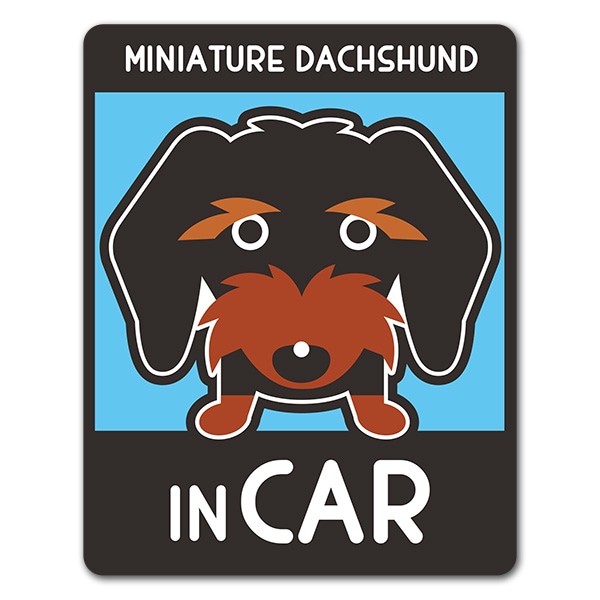 �ߥ˥��奢���å����ե�� �磻�䡼 ���󥫥顼 ���٤��ӿ���3���MINIATURE DACHSHUND IN CAR�ۼ֥ޥ��ͥåȥ��ƥå����ڤ椦�ѥ��å����������ǽ��