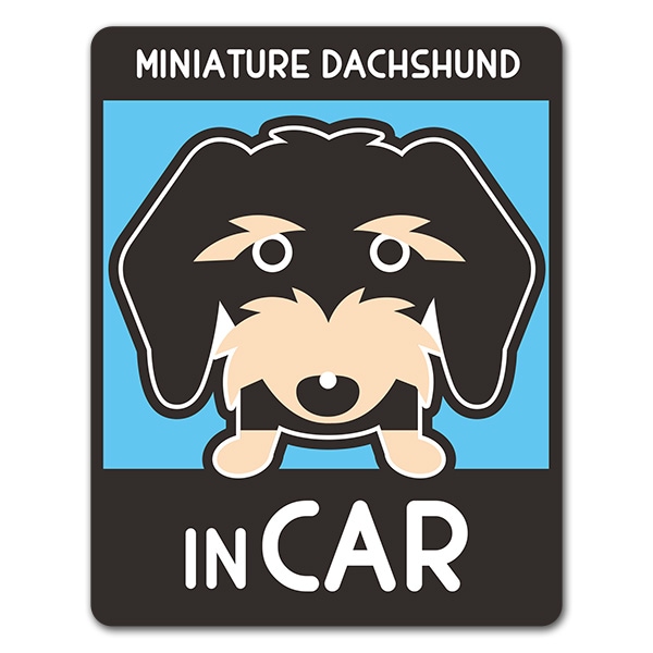 �ߥ˥��奢���å����ե�� �磻�䡼 ���󥫥顼 ���٤��ӿ���3���MINIATURE DACHSHUND IN CAR�ۼ֥ޥ��ͥåȥ��ƥå����ڤ椦�ѥ��å����������ǽ��